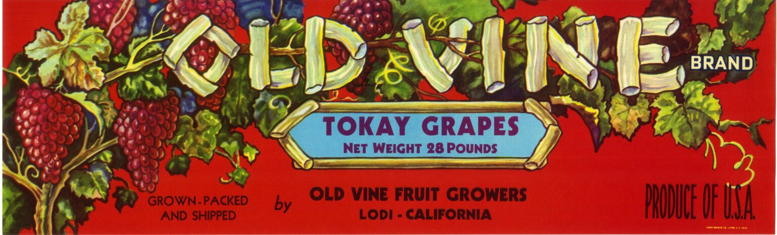 Old Vine Old Vine